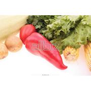 Сельскохозяйственная продукция фото