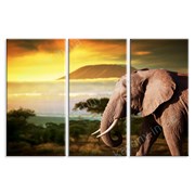 Картина Слон в саванне фото