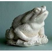 Фигурка лягушки, денежного символа фото