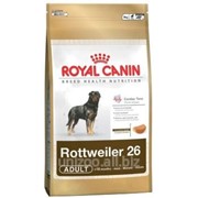 Сухой корм для собак Royal Canin Rottweiler 26 Adult - 3 кг фотография
