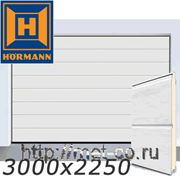 Ворота гаражные секционные Хёрманн /Hormann LPU40 3000x2250/ фото