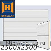 Ворота гаражные секционные Хёрманн /Hormann LPU40 2500x2500/ фото