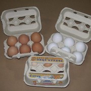 Яйца куриные КоКо-6-к. С1