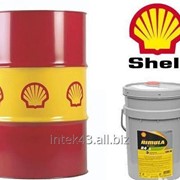 Моторное масло Shell Rimula R4 L 15W4 бочка 209 л фото