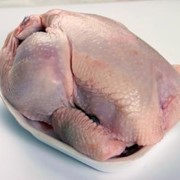 Тушка цыпленка бройлера фото