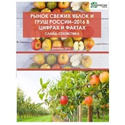Рынок свежих яблок и груш в россии - 2016 в цифрах и фактах фото