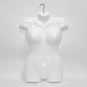 Манекен формы: торс женский, пластиковый, цвет белый. М-101-К фото