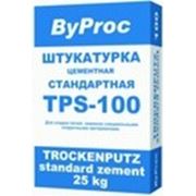 Штукатурка цементная стандартная ByProc TPS-100