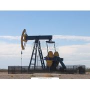 Программы в области добычи нефти газа