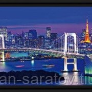 Репродукция 50х100 в1777 фото