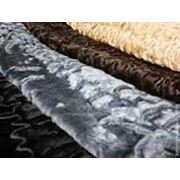 Шкура каракуля фото