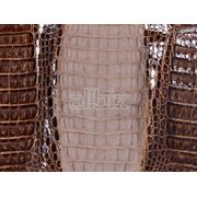 Производство кожи Узбекистан фото