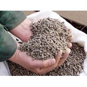 Комбикорм фото