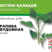 Фиточай Крапива-Зерде листья
