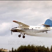 Самолет сельскохозяйственный легкий Ан-3СХ фотография