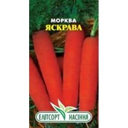 Семена моркови Яскрава фото