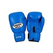 Перчатки боксерские GYM BGG-2018, 12oz, кожа, синие (4493) фотография