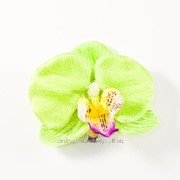 Заколка боковая 'Орхидея' металлическая основа 207233(5) фото