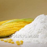 Кукурузный крахмал, простой и модифицированный собственного производства фото