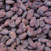 Какао бобы, Мадагаскар, Sambirano №1 фото