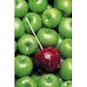 Концентраты фруктовые : концентрат яблочного сока, цена от производителя, купить (продажа) у производителя (Украина) фото
