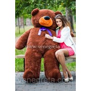 Мягкая игрушка плюшевый медведь. Большой фирменный мишка XXXXL (200 см) шоколадный фото