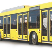 Автобус городской МАЗ 215 фото