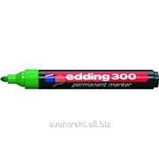 Маркер перманентный Edding 300 зеленый