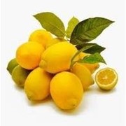 Лимоны “Турецкие“ фото