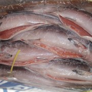 Рыба морская Нерка купить, цена, Владивосток