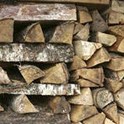 Березовые дрова фото
