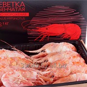 Креветка гребенчатая в/м B2L 12/24 фото