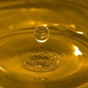Масло соевое от производителя / Soybean oil from a producer. фото