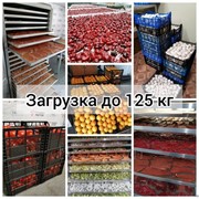 Шкафы для сушки фруктов, овощей, ягод фотография