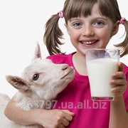 Молоко пастеризованное Пластик 1л фото