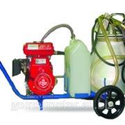 Аппарат доильный АИД-1 А Алеся фото