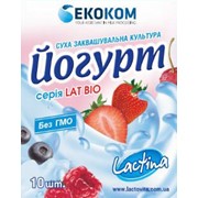 Йогурт (Закваски Lactina)