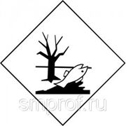 Знак вещества опасного для окружающей среды фотография