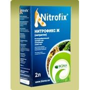 Нитрофикс (азотфиксирующее бактериальное удобрение) фото