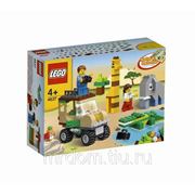 Конструктор lego build&rebuild строительный набор сафари" (824988)