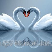 Картина-мозаика стразами Два лебедя 75х48 см фотография
