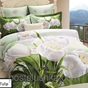 Комплект постельного белья Arya 3D Exclusive White Tulip Полуторный фото