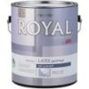 Ace Royal PVA latex drywall primer Латексный грунт 5 галлон (18.9 л) Эйс фото