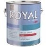Ace Royal flat interior wall paint Интерьерная краска (3,78 л) Эйс фото