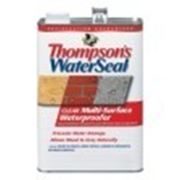 Thompson's WaterSeal Защита от воды для всех поверхностей 5 галлон (18,9 л) Шервин Вильямс фото