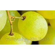 Осенняя подкормка винограда монофосфатом калия