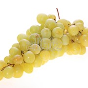 Соки виноградные фотография