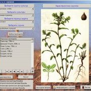 Информационно - моделирующая система "Защита растений"
