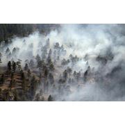 Беспилотный мониторинг лесных пожаров фото