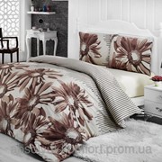 Комплект постельного белья ARYA Sena бязь двойной 1001670 фотография